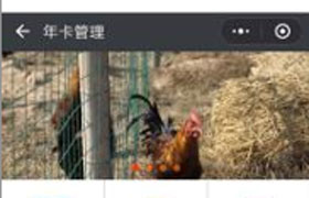 Java学员作品-小程序-前端