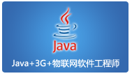 Java+3G+物联网软件工程师