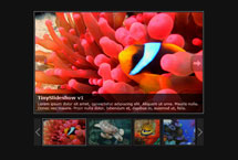 网页特效与JS代码应用