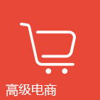 高级电商培训课程